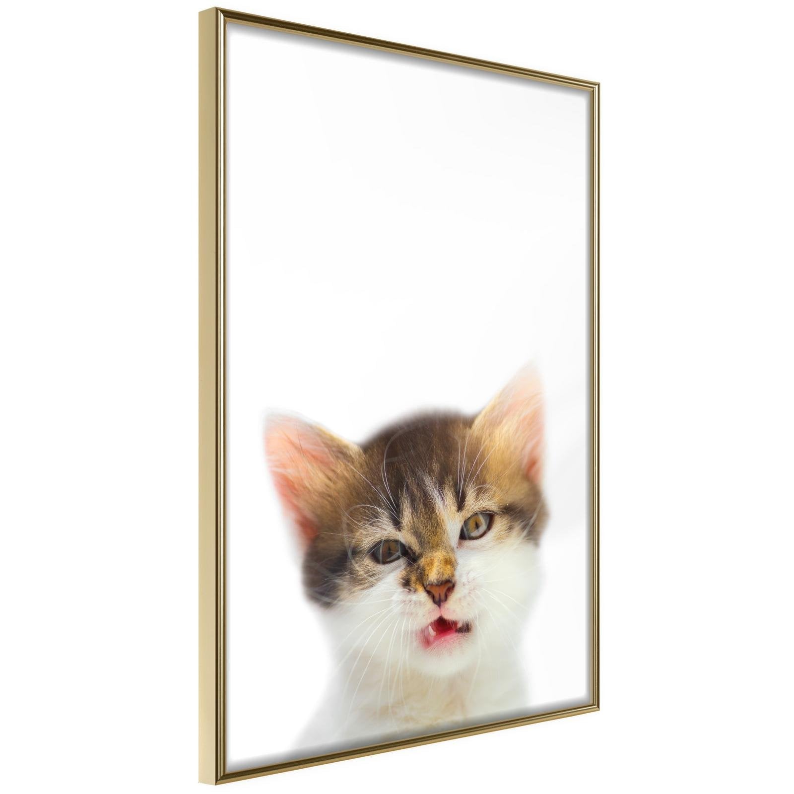 Inramad Poster / Tavla - Funny Kitten-Poster Inramad-Artgeist-20x30-Guldram-peaceofhome.se