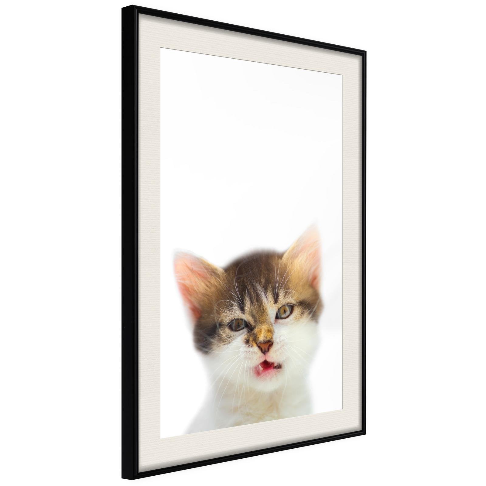 Inramad Poster / Tavla - Funny Kitten-Poster Inramad-Artgeist-20x30-Svart ram med passepartout-peaceofhome.se