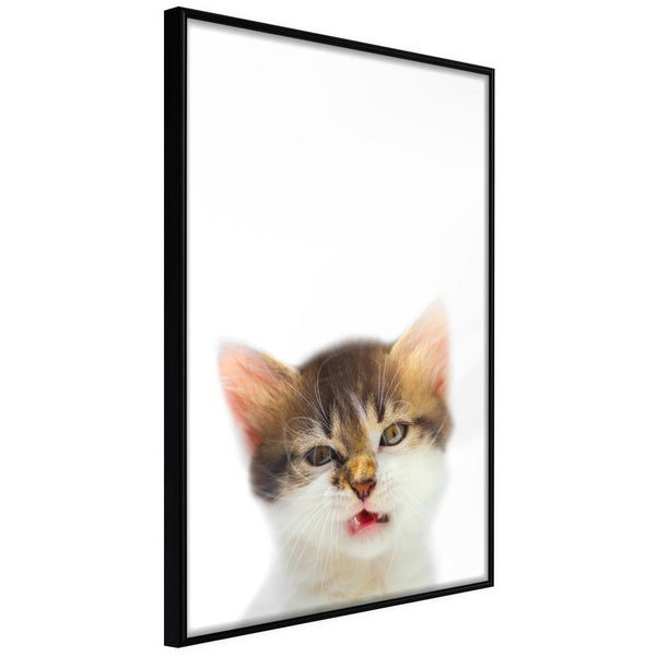Inramad Poster / Tavla - Funny Kitten-Poster Inramad-Artgeist-20x30-Svart ram-peaceofhome.se