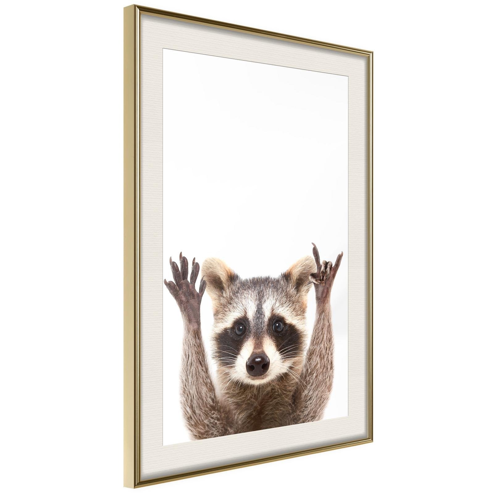 Inramad Poster / Tavla - Funny Racoon-Poster Inramad-Artgeist-20x30-Guldram med passepartout-peaceofhome.se