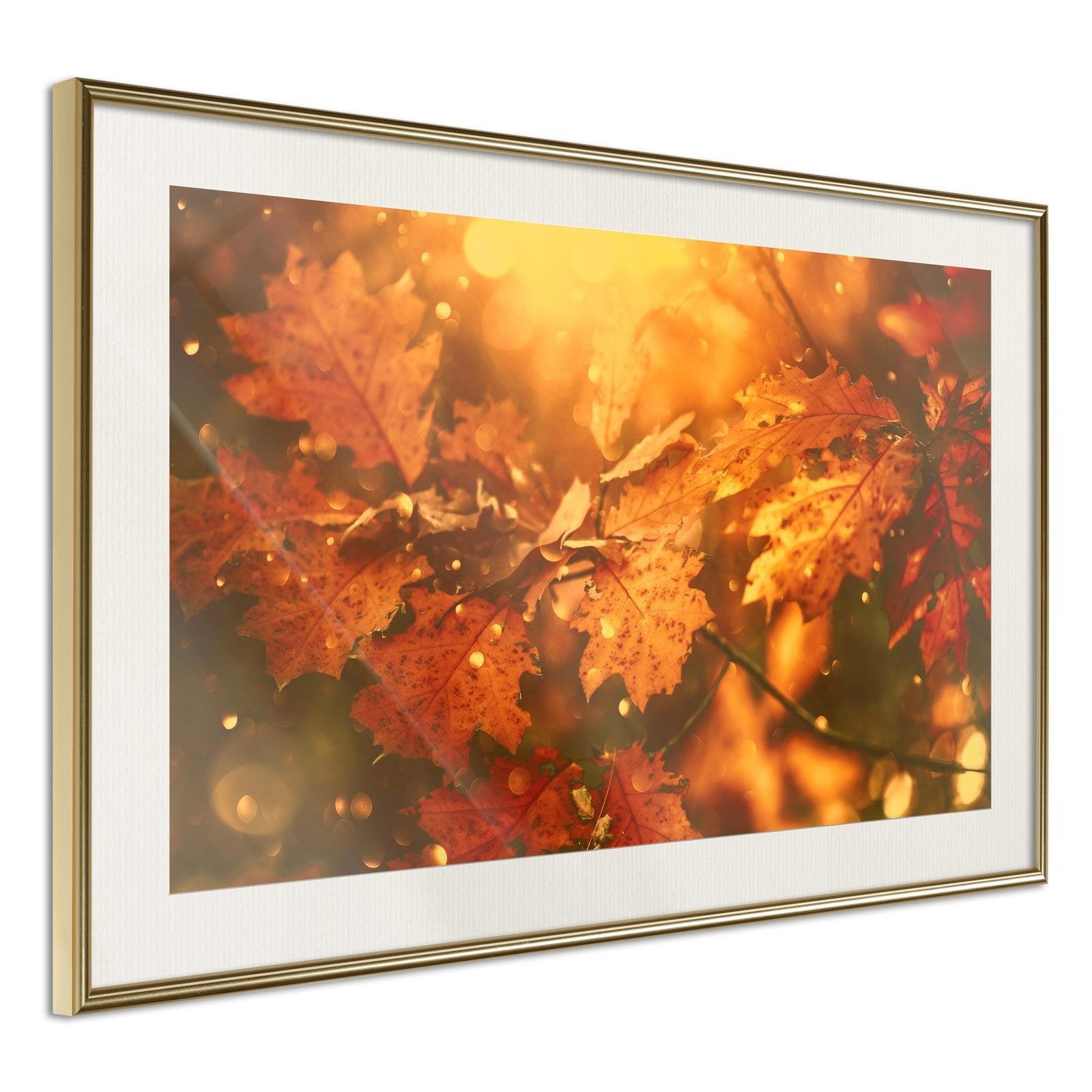 Inramad Poster / Tavla - Golden Autumn-Poster Inramad-Artgeist-30x20-Guldram med passepartout-peaceofhome.se