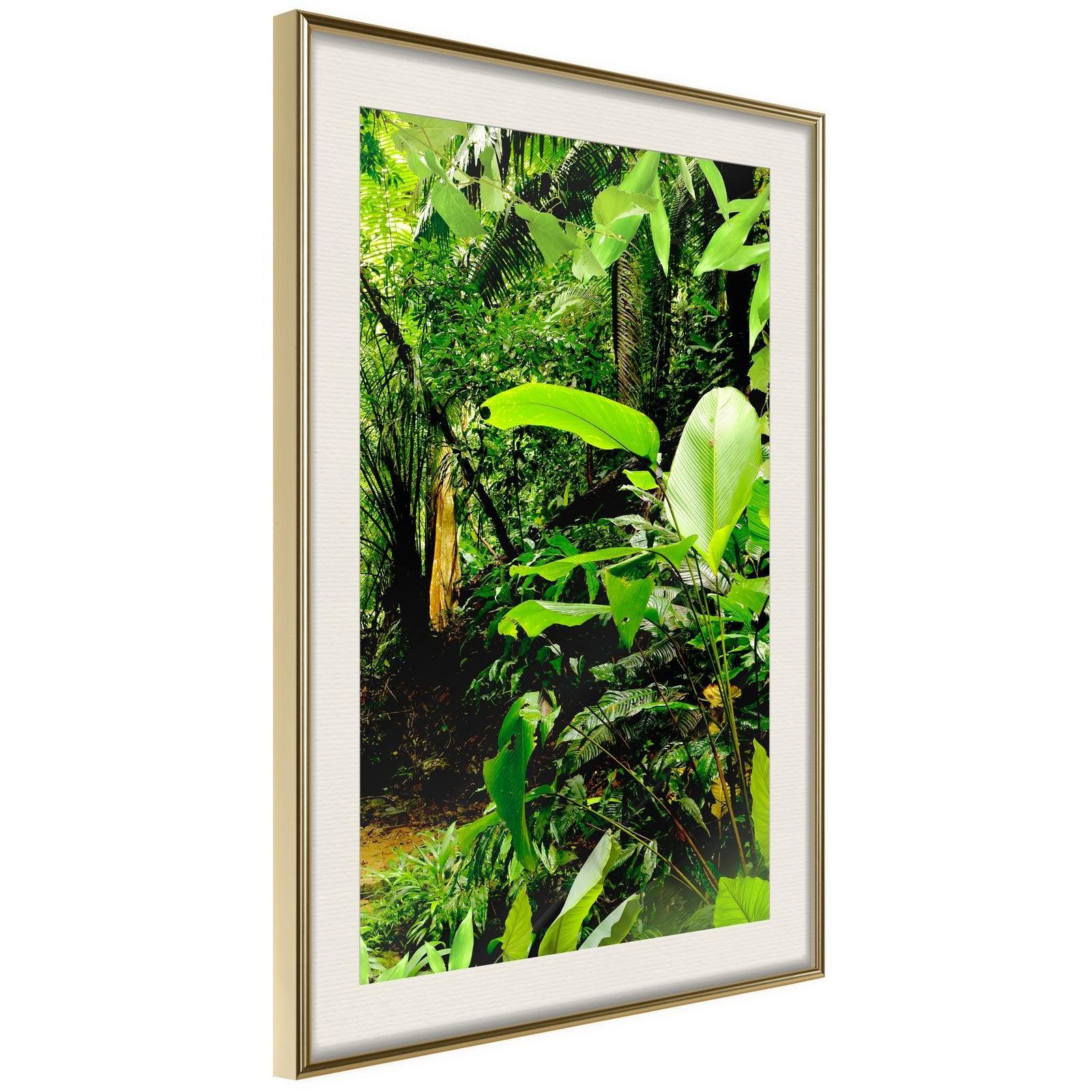 Inramad Poster / Tavla - In the Rainforest-Poster Inramad-Artgeist-20x30-Guldram med passepartout-peaceofhome.se