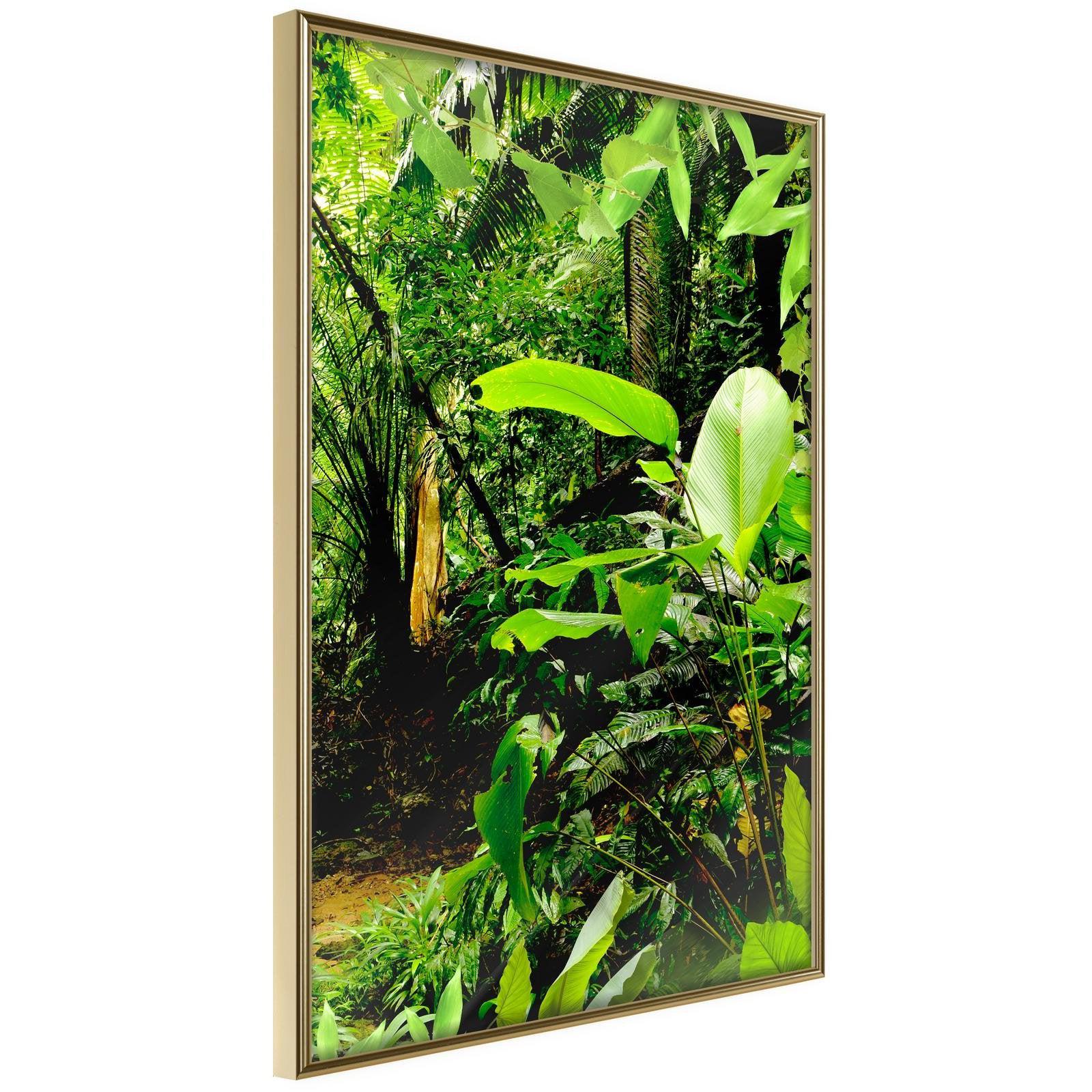 Inramad Poster / Tavla - In the Rainforest-Poster Inramad-Artgeist-20x30-Guldram-peaceofhome.se