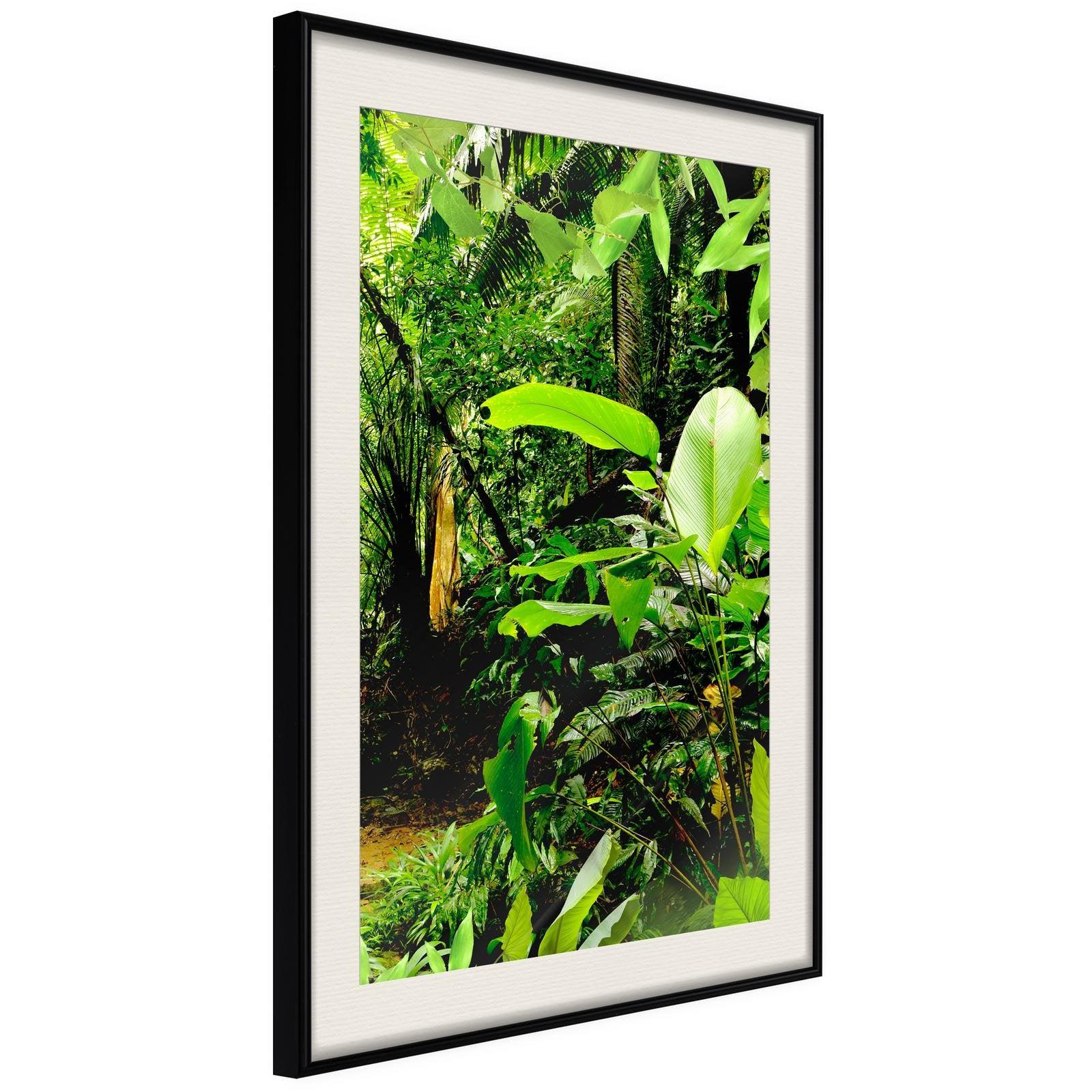 Inramad Poster / Tavla - In the Rainforest-Poster Inramad-Artgeist-20x30-Svart ram med passepartout-peaceofhome.se