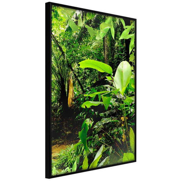 Inramad Poster / Tavla - In the Rainforest-Poster Inramad-Artgeist-20x30-Svart ram-peaceofhome.se