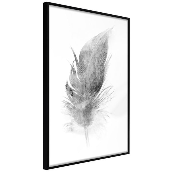 Inramad Poster / Tavla - Lost Feather (Grey)-Poster Inramad-Artgeist-20x30-Svart ram-peaceofhome.se