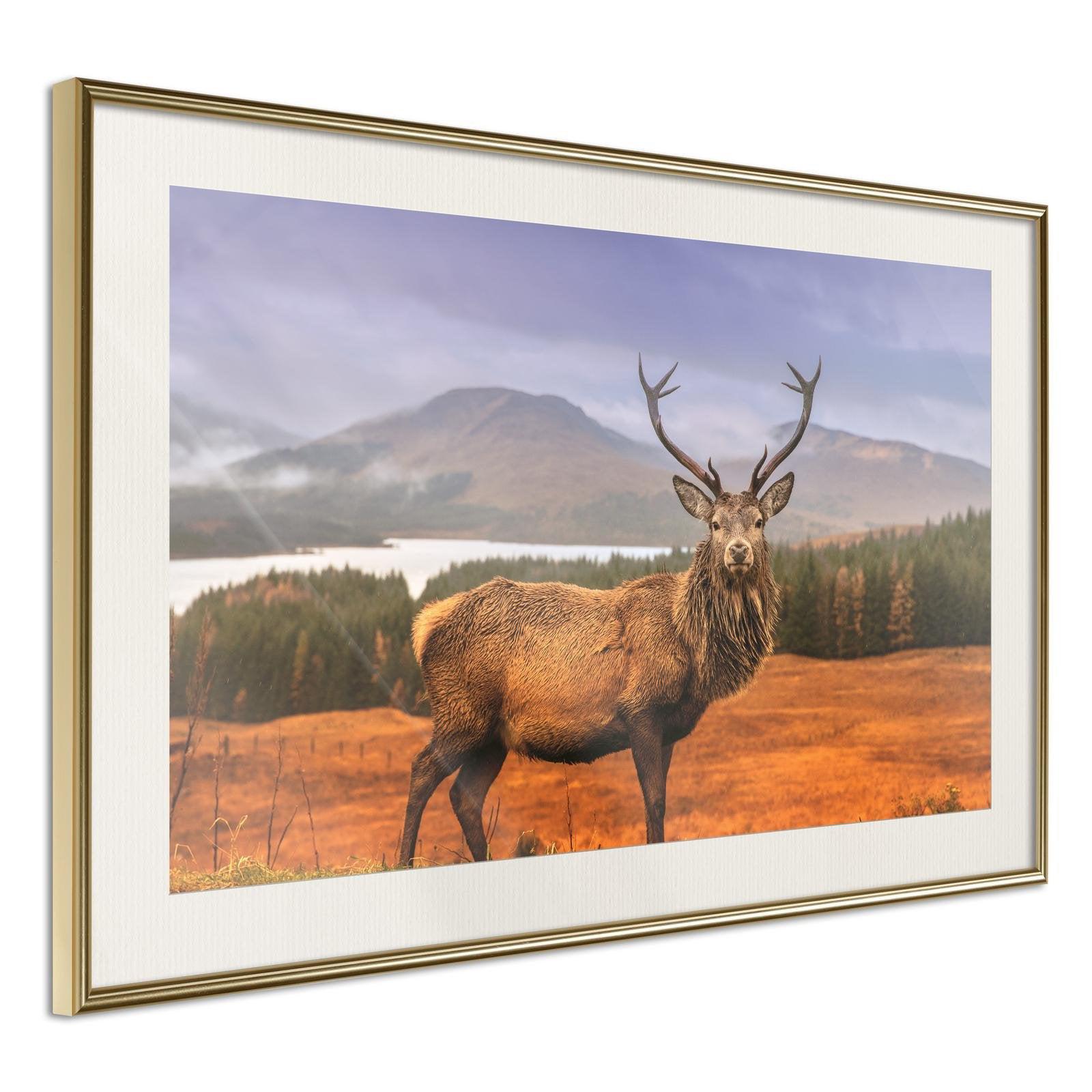 Inramad Poster / Tavla - Majestic Deer-Poster Inramad-Artgeist-30x20-Guldram med passepartout-peaceofhome.se
