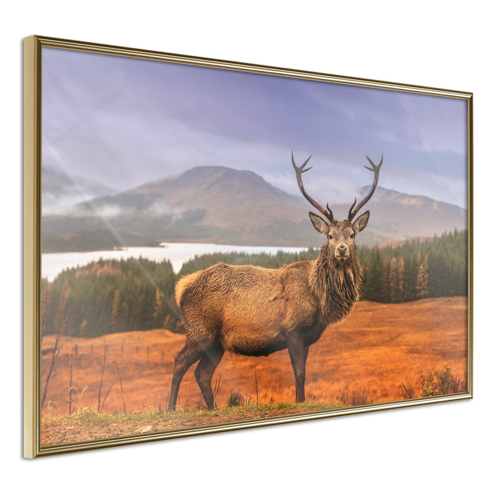 Inramad Poster / Tavla - Majestic Deer-Poster Inramad-Artgeist-30x20-Guldram-peaceofhome.se