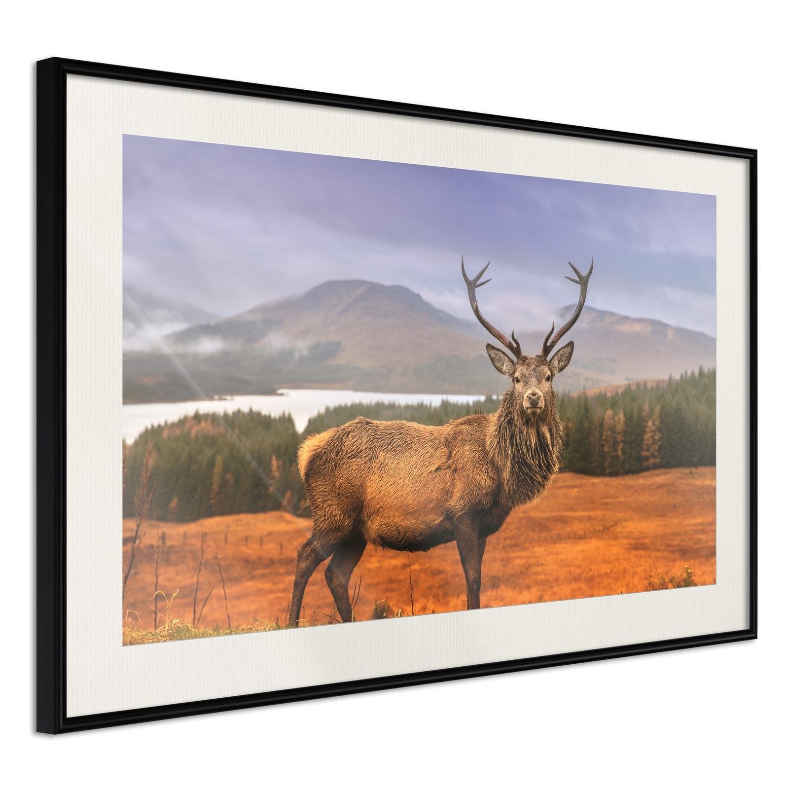 Inramad Poster / Tavla - Majestic Deer-Poster Inramad-Artgeist-30x20-Svart ram med passepartout-peaceofhome.se