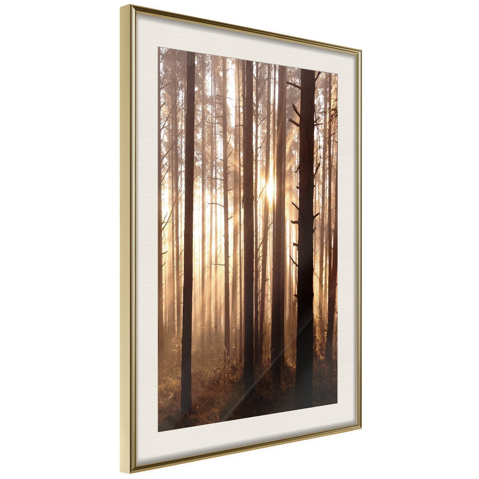 Inramad Poster / Tavla - Morning in the Forest-Poster Inramad-Artgeist-20x30-Guldram med passepartout-peaceofhome.se