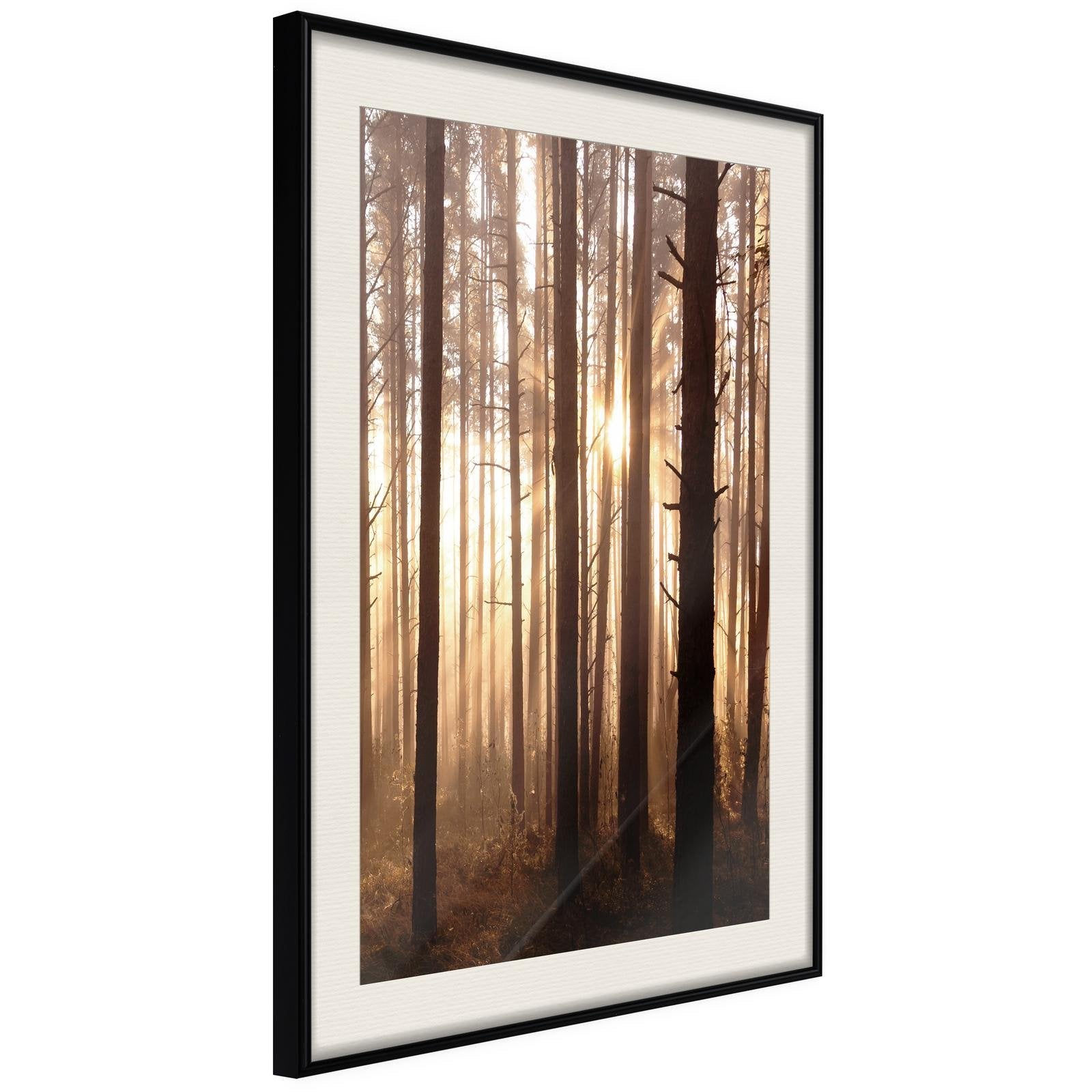 Inramad Poster / Tavla - Morning in the Forest-Poster Inramad-Artgeist-20x30-Svart ram med passepartout-peaceofhome.se