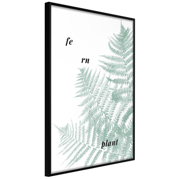 Inramad Poster / Tavla - Pale Green Fern-Poster Inramad-Artgeist-20x30-Svart ram-peaceofhome.se