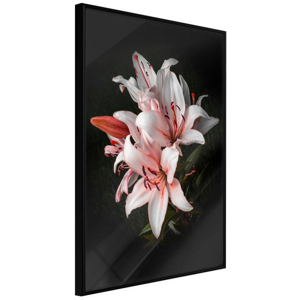 Inramad Poster / Tavla - Pale Pink Lilies-Poster Inramad-Artgeist-20x30-Svart ram-peaceofhome.se