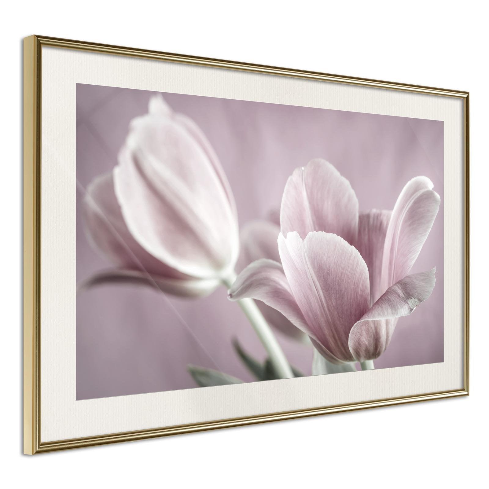 Inramad Poster / Tavla - Pastel Tulips I-Poster Inramad-Artgeist-30x20-Guldram med passepartout-peaceofhome.se