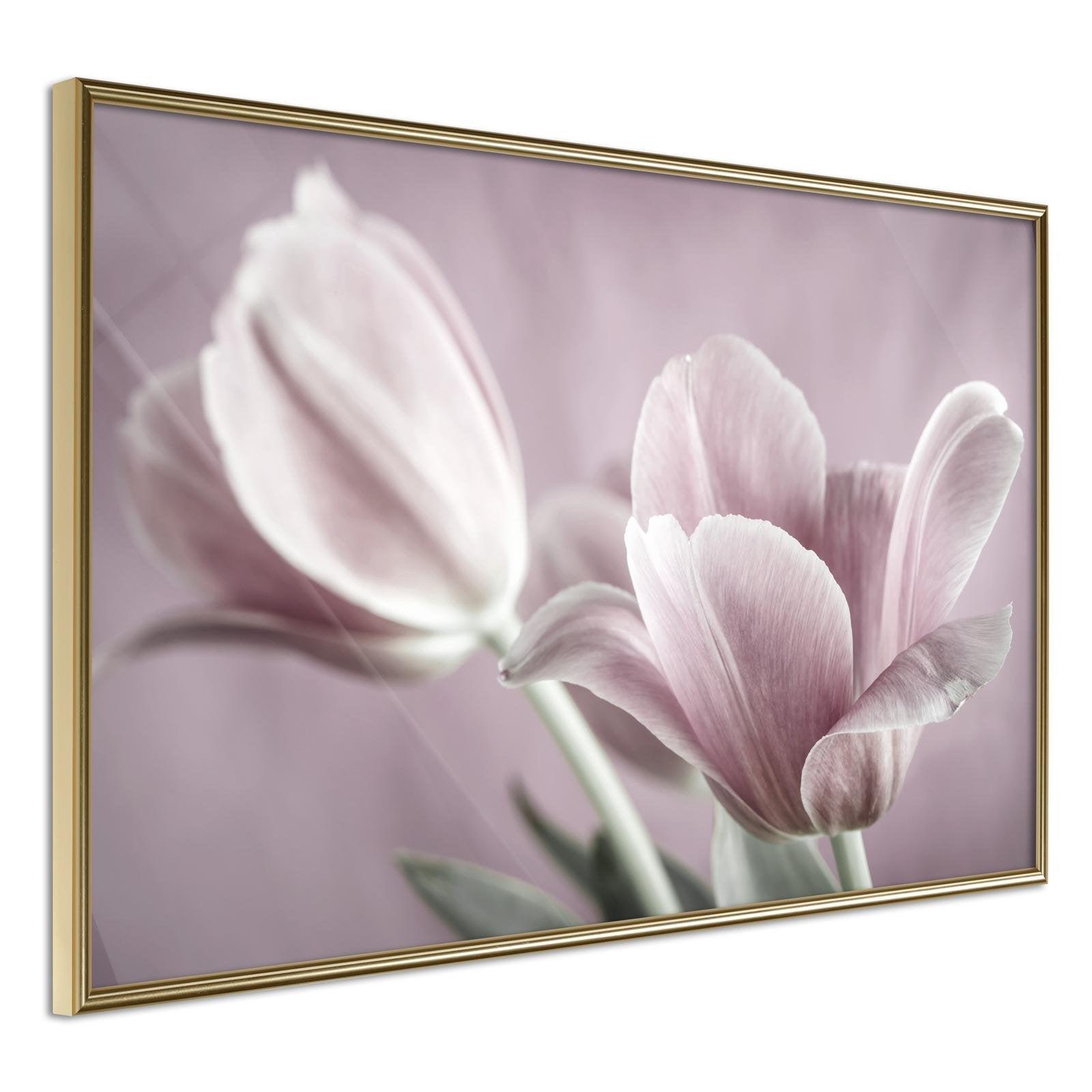 Inramad Poster / Tavla - Pastel Tulips I-Poster Inramad-Artgeist-30x20-Guldram-peaceofhome.se