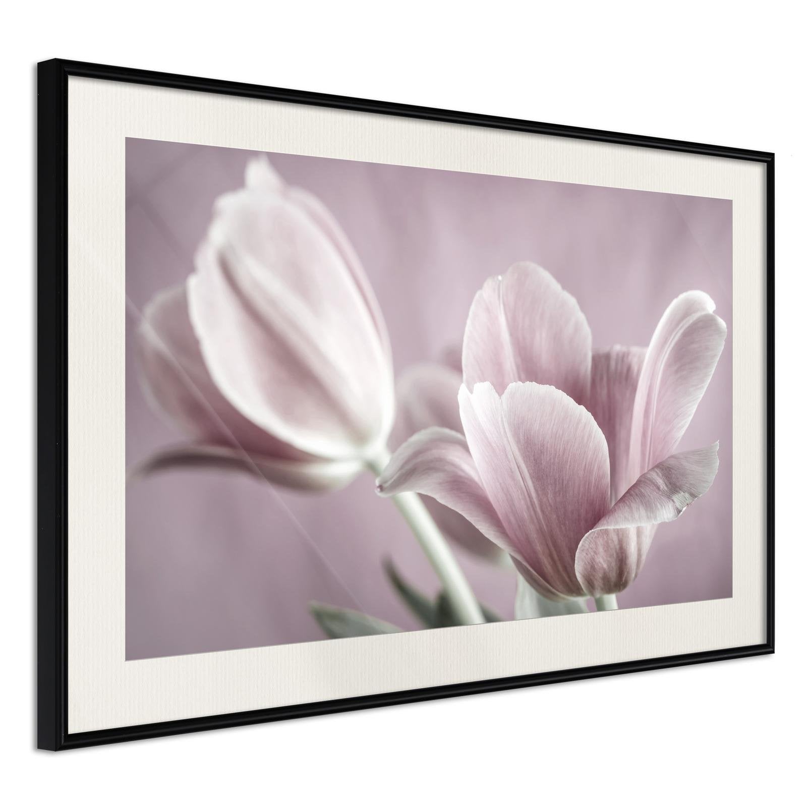Inramad Poster / Tavla - Pastel Tulips I-Poster Inramad-Artgeist-30x20-Svart ram med passepartout-peaceofhome.se