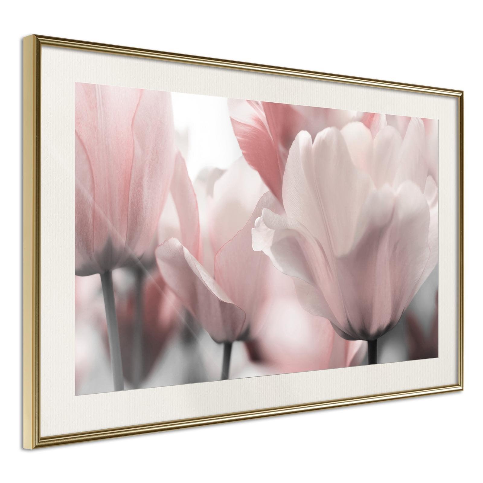 Inramad Poster / Tavla - Pastel Tulips II-Poster Inramad-Artgeist-30x20-Guldram med passepartout-peaceofhome.se