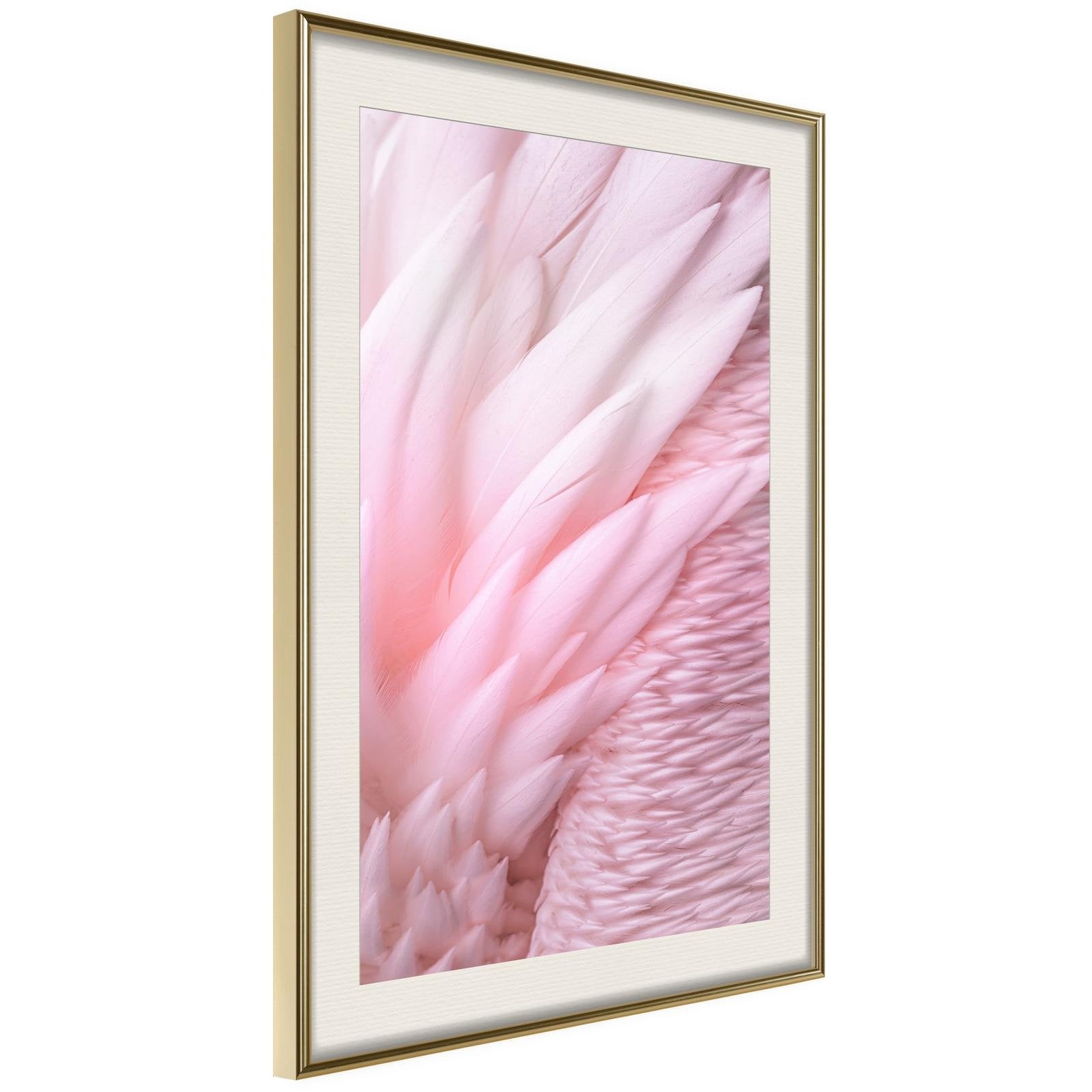 Inramad Poster / Tavla - Pink Feathers-Poster Inramad-Artgeist-20x30-Guldram med passepartout-peaceofhome.se