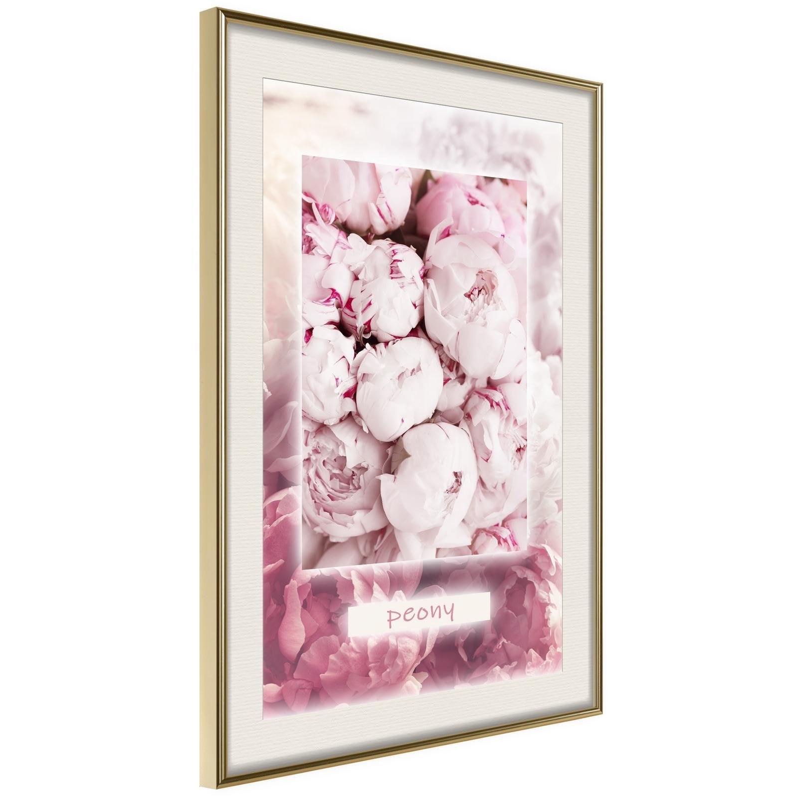 Inramad Poster / Tavla - Scent of Peonies-Poster Inramad-Artgeist-20x30-Guldram med passepartout-peaceofhome.se