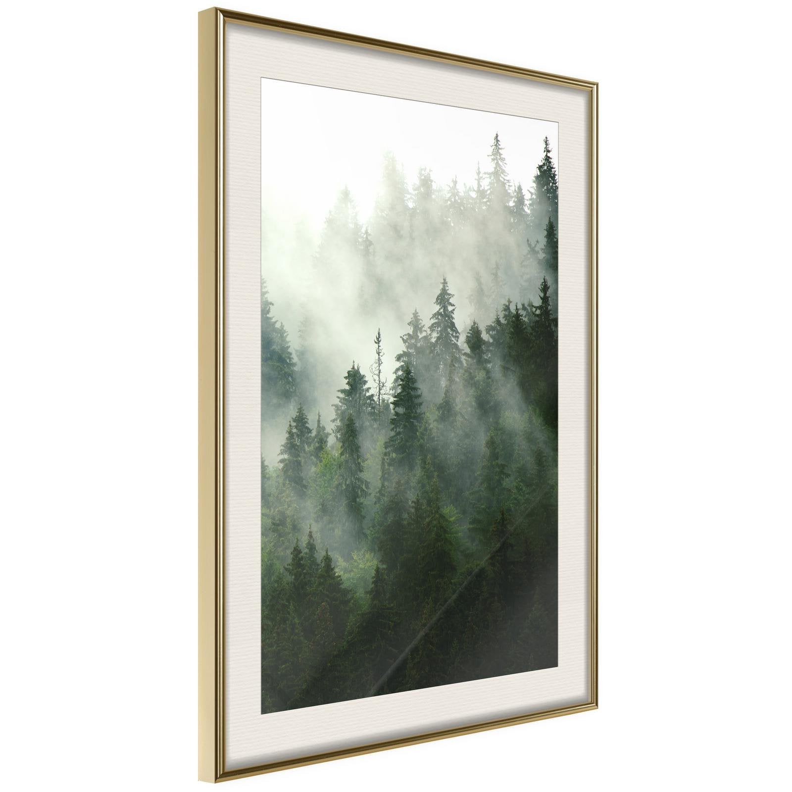 Inramad Poster / Tavla - Steaming Forest-Poster Inramad-Artgeist-20x30-Guldram med passepartout-peaceofhome.se