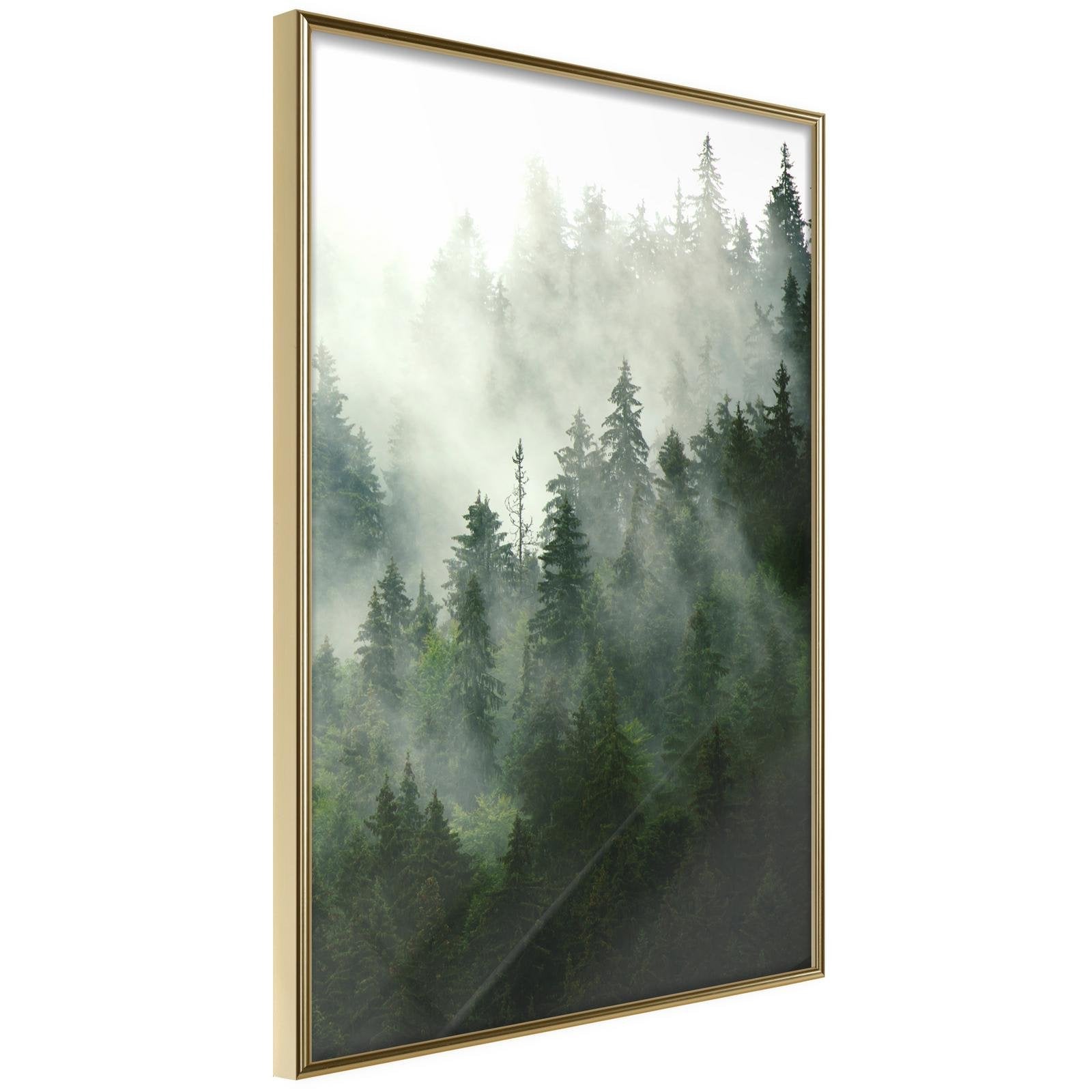 Inramad Poster / Tavla - Steaming Forest-Poster Inramad-Artgeist-20x30-Guldram-peaceofhome.se