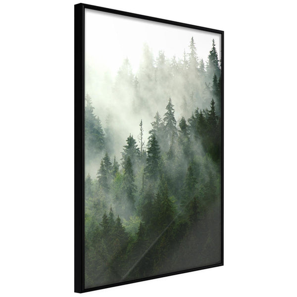 Inramad Poster / Tavla - Steaming Forest-Poster Inramad-Artgeist-20x30-Svart ram-peaceofhome.se