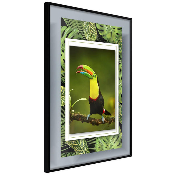 Inramad Poster / Tavla - Toucan in the Frame-Poster Inramad-Artgeist-20x30-Svart ram-peaceofhome.se