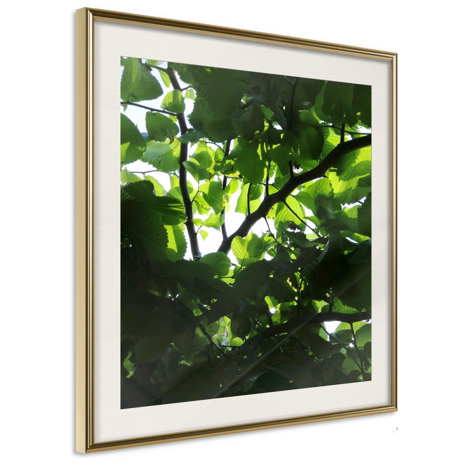 Inramad Poster / Tavla - Under Cover of Leaves-Poster Inramad-Artgeist-20x20-Guldram med passepartout-peaceofhome.se