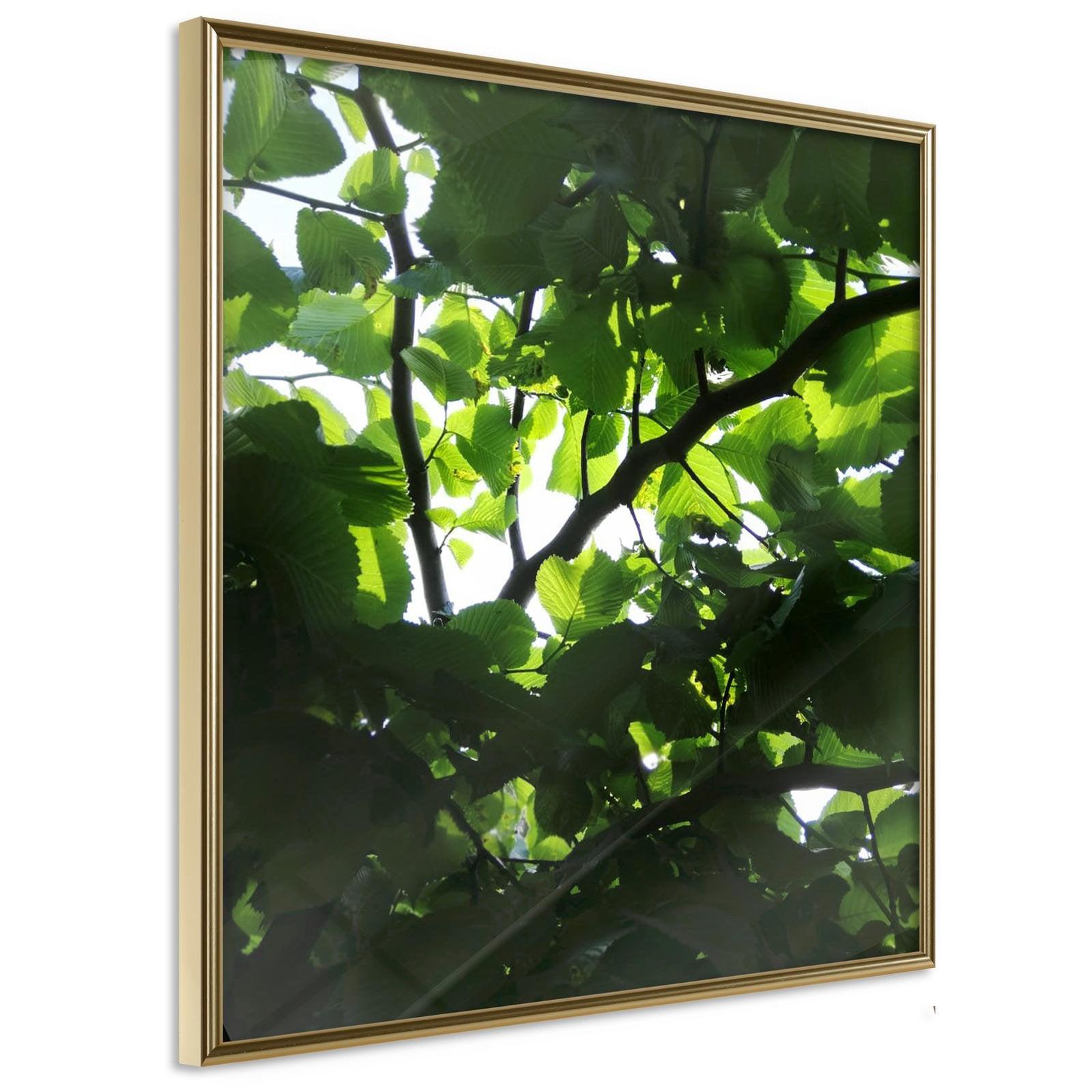 Inramad Poster / Tavla - Under Cover of Leaves-Poster Inramad-Artgeist-20x20-Guldram-peaceofhome.se