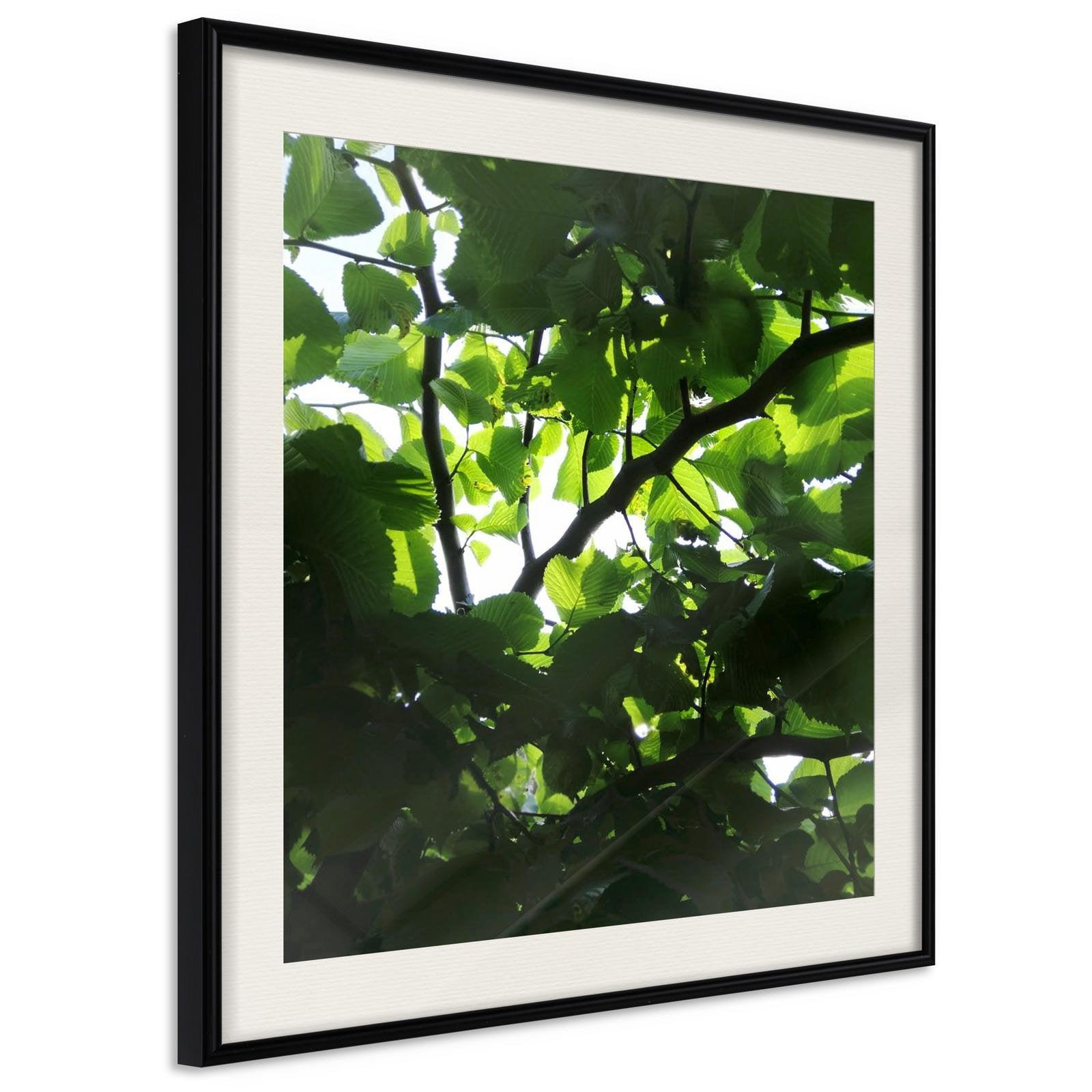 Inramad Poster / Tavla - Under Cover of Leaves-Poster Inramad-Artgeist-20x20-Svart ram med passepartout-peaceofhome.se