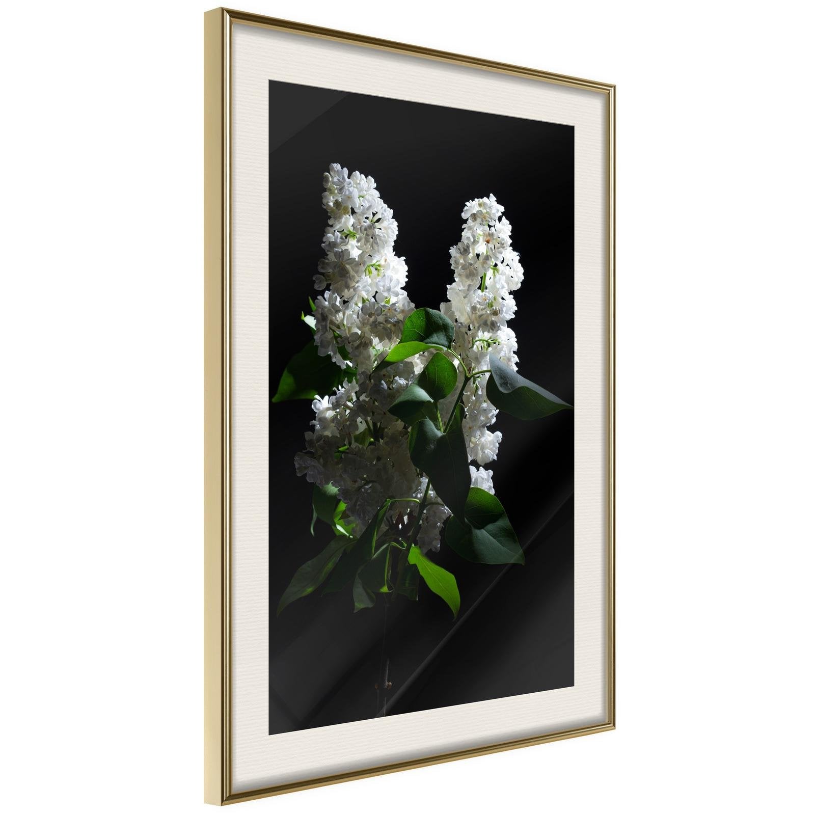Inramad Poster / Tavla - White Lilac-Poster Inramad-Artgeist-20x30-Guldram med passepartout-peaceofhome.se