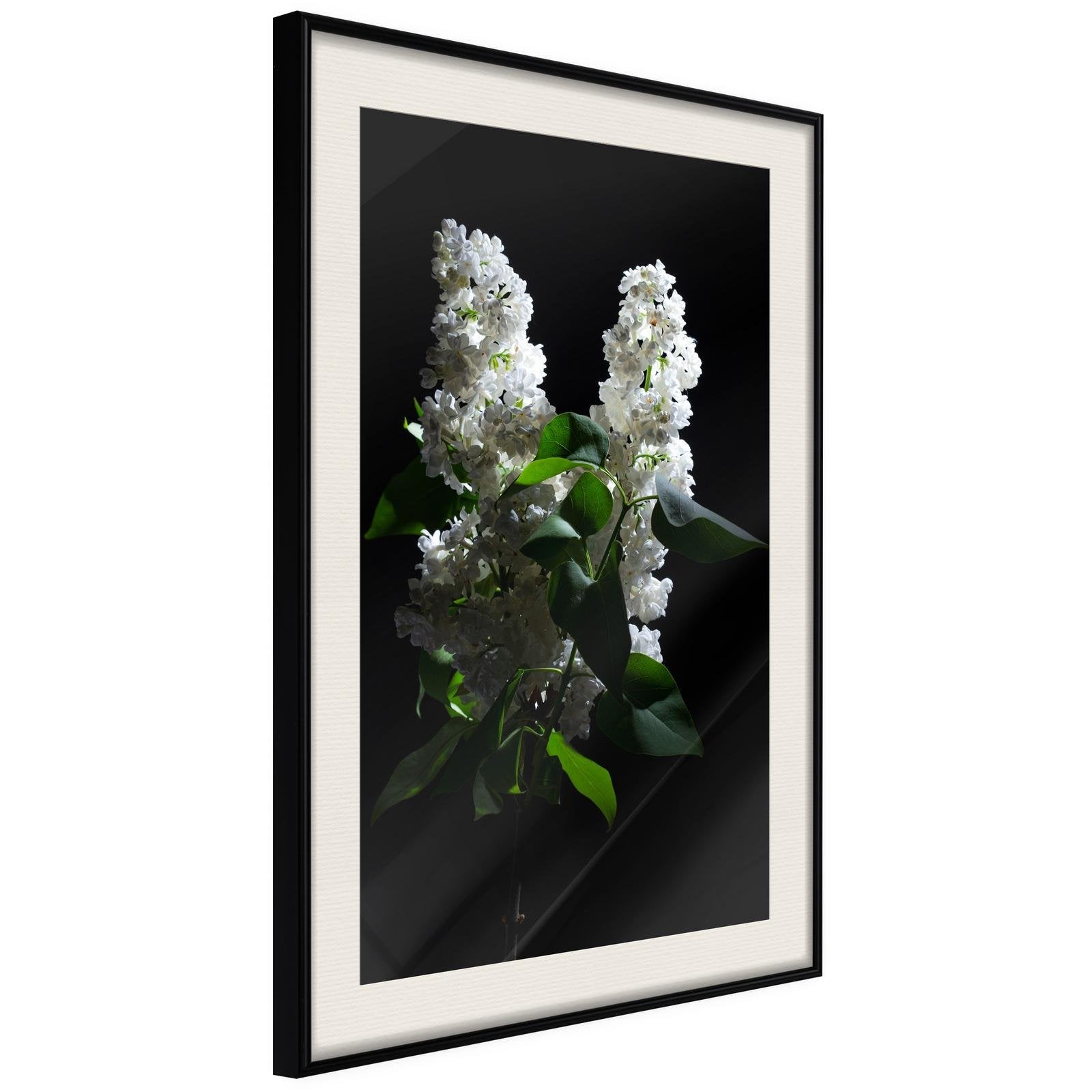 Inramad Poster / Tavla - White Lilac-Poster Inramad-Artgeist-20x30-Svart ram med passepartout-peaceofhome.se