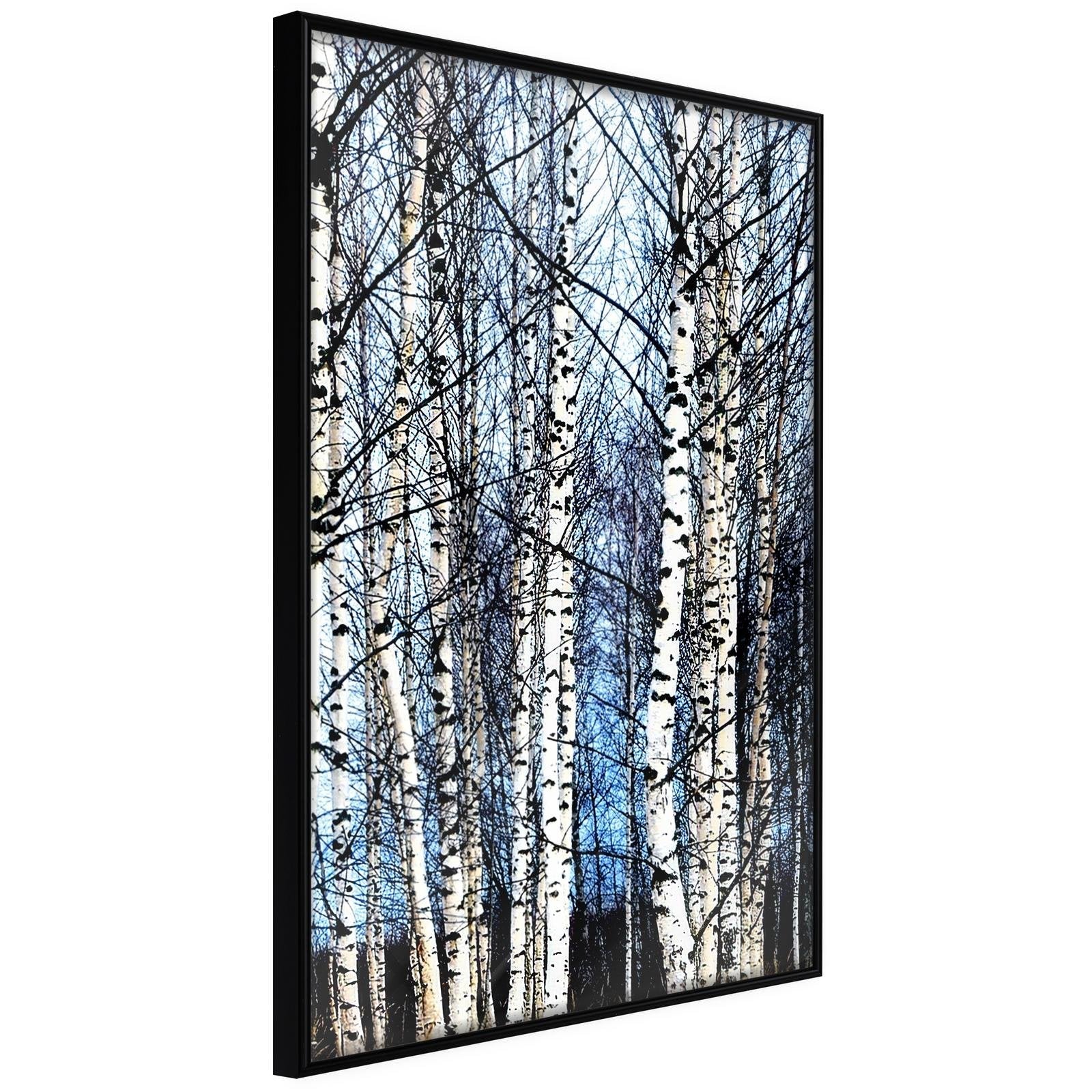 Inramad Poster / Tavla - Winter Birch Trees-Poster Inramad-Artgeist-20x30-Svart ram-peaceofhome.se