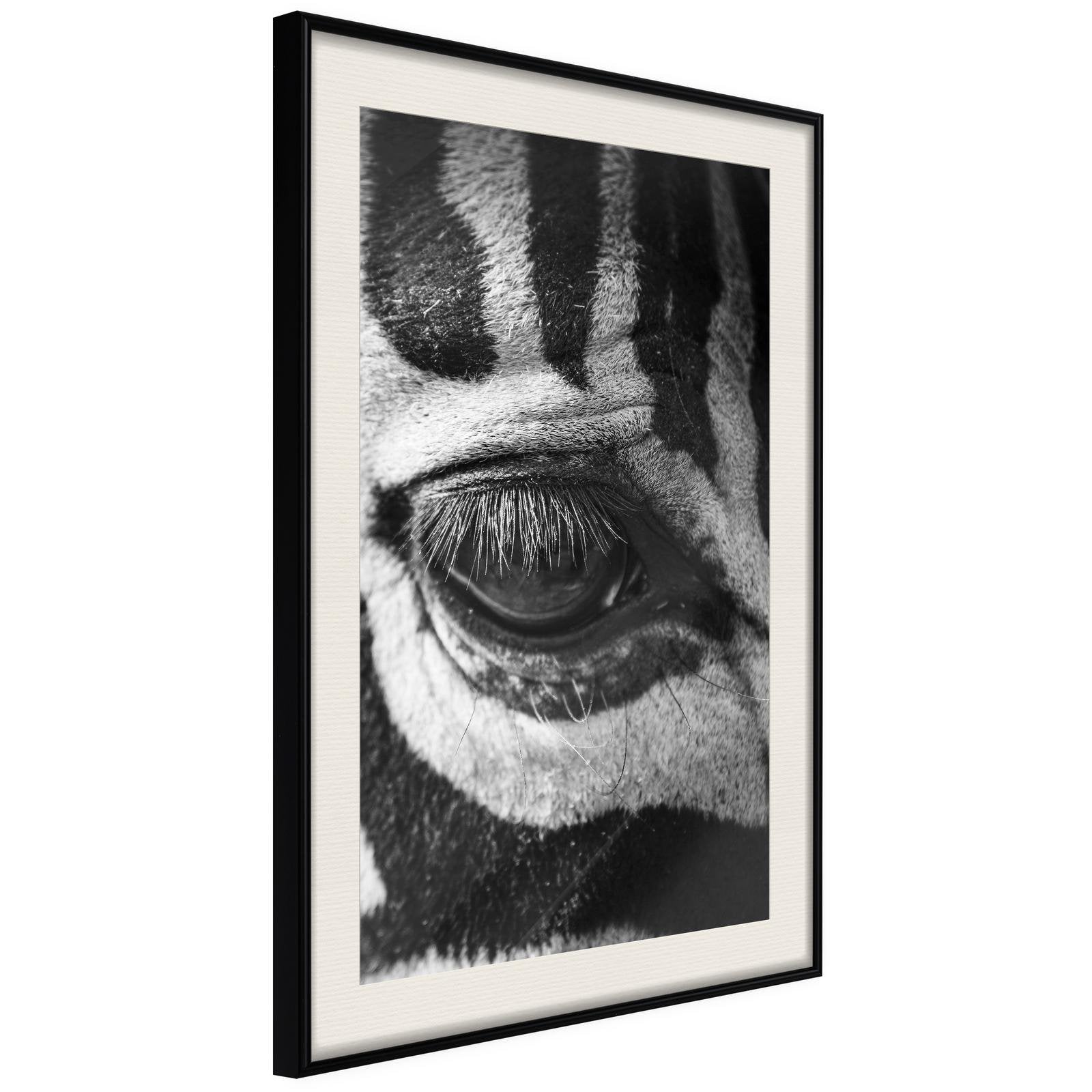 Inramad Poster / Tavla - Zebra Is Watching You-Poster Inramad-Artgeist-20x30-Svart ram med passepartout-peaceofhome.se