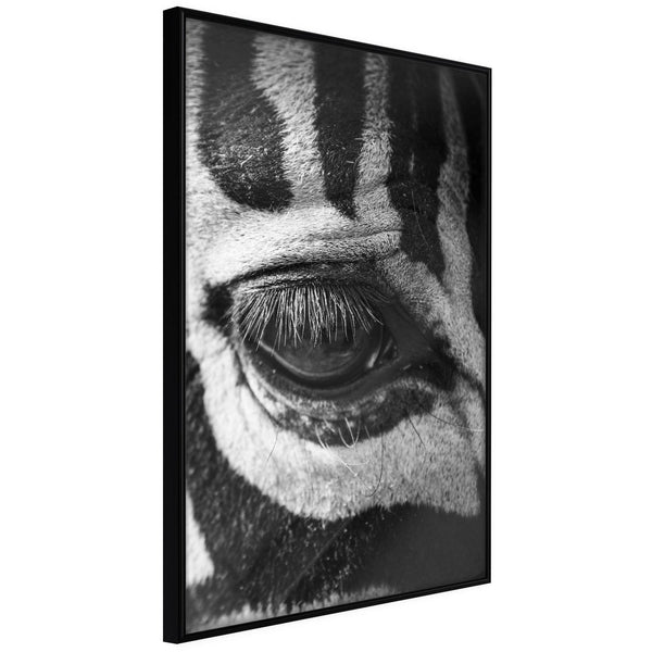 Inramad Poster / Tavla - Zebra Is Watching You-Poster Inramad-Artgeist-20x30-Svart ram-peaceofhome.se