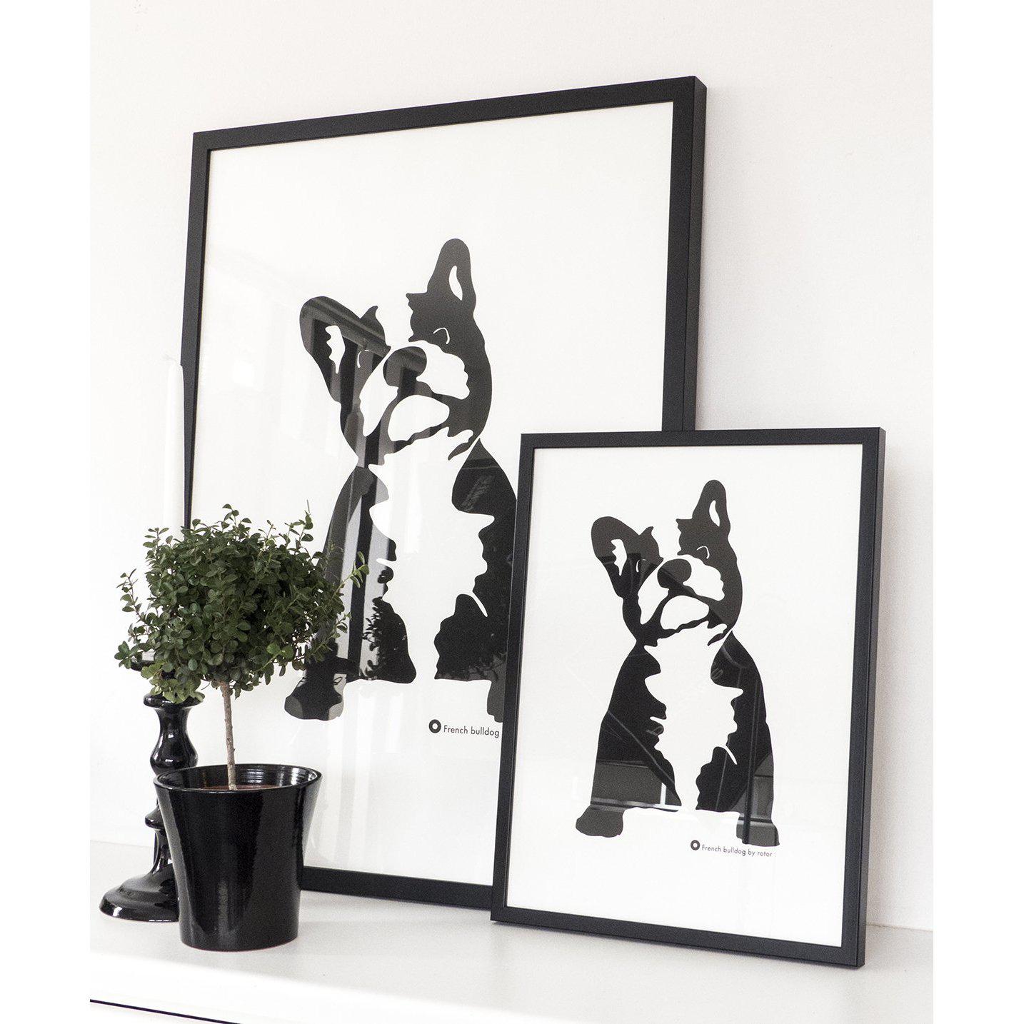 Poster French Bulldog-Poster-Rotor Design-peaceofhome.se