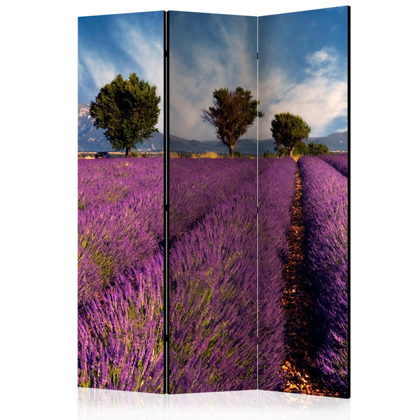 Rumsavdelare / Skärmvägg - Lavender field in Provence, France-Rumsavdelare-Artgeist-135x172-peaceofhome.se